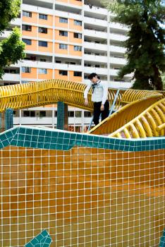 DRAGON #3 / série Disorder /Singapour